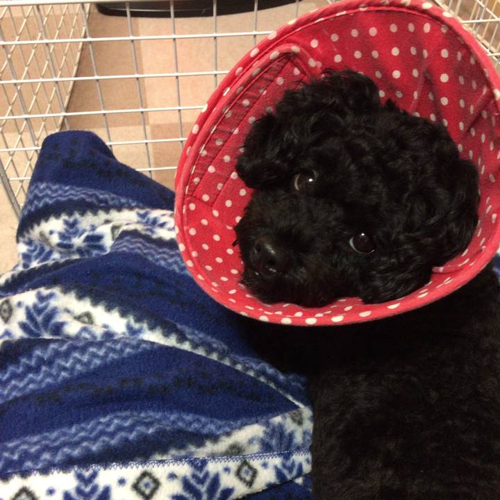 600ca79f bcae 4973 97ad 976d11f31fed