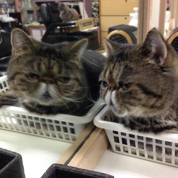 600db1f0 bff9 4679 add7 7142bf19c5c4