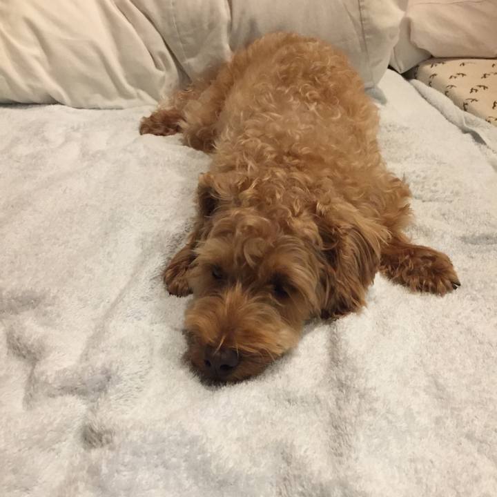 600dd454 4a4b 4a78 a8cb 53a0c0620ecc