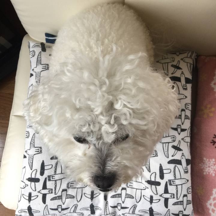 600ec05e bb50 4a33 a75a 8a59447c5837