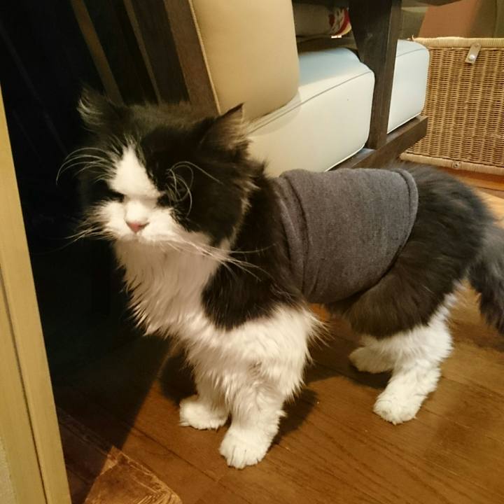 6010ec60 23a5 485d b24e 363bc749930e