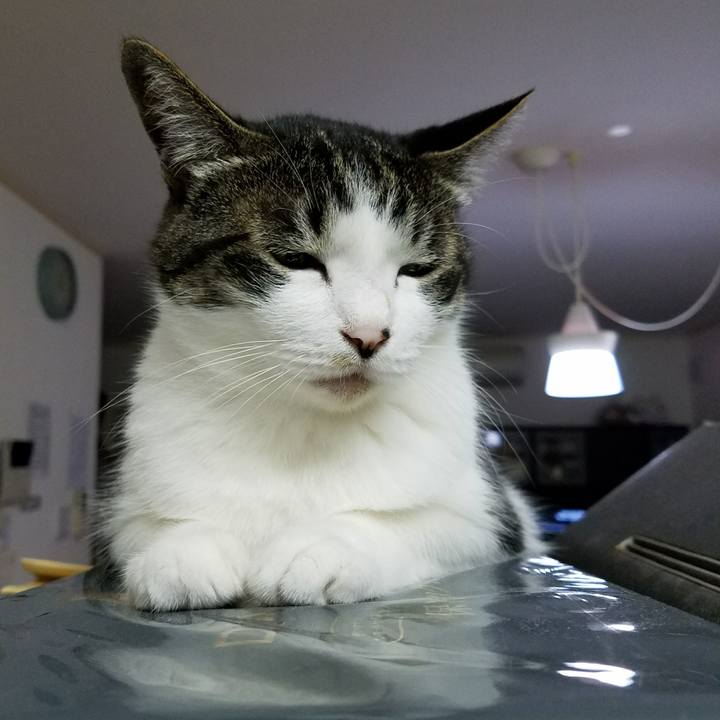 601186fe cd63 4ca8 9c1b 5642d7e071c5