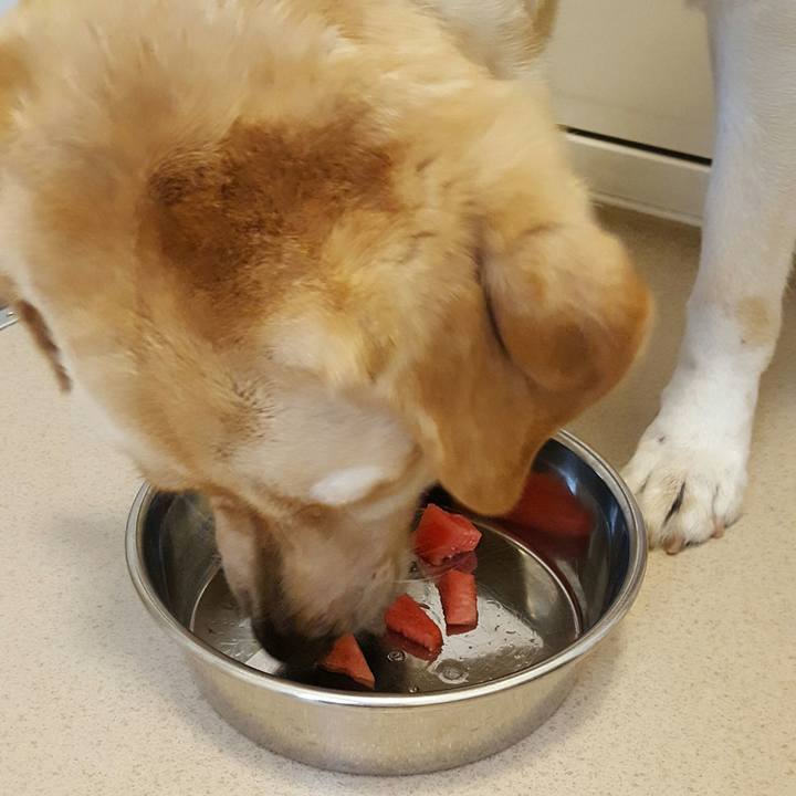 6011af69 9918 4566 9a6a 05ecdf966cd1