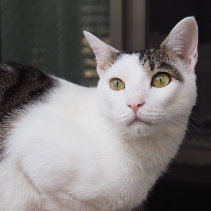 60123cf4 acd0 41e3 a45f edb694876473