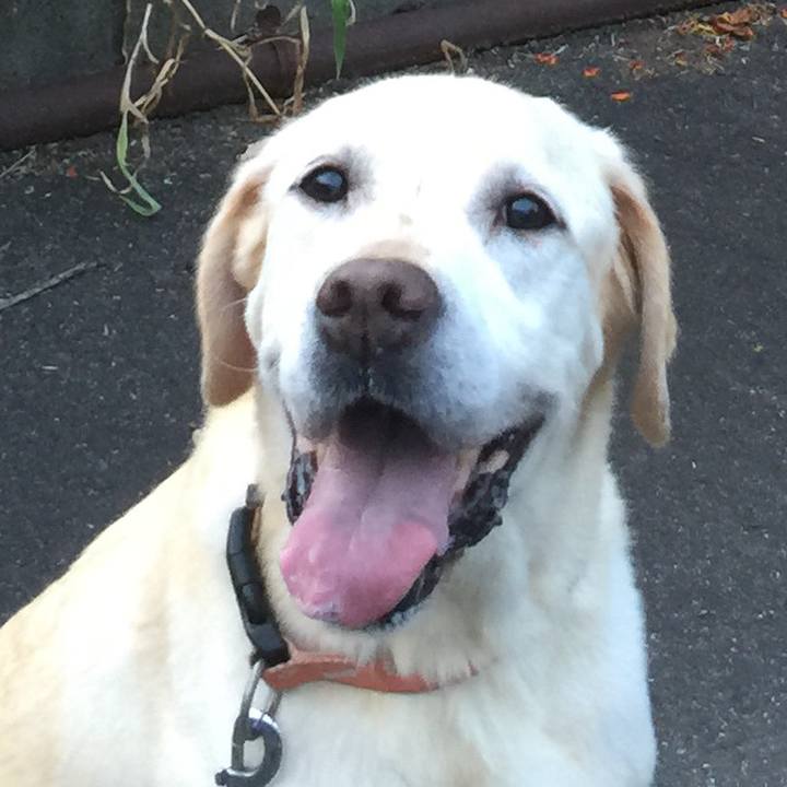 6012ccfc 6b6e 4119 9c1d d85def8a1cad