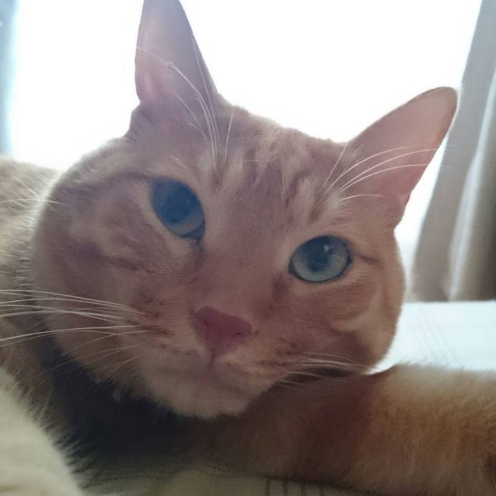 6012df86 7fe8 425e 894b 5a820c2cbe19