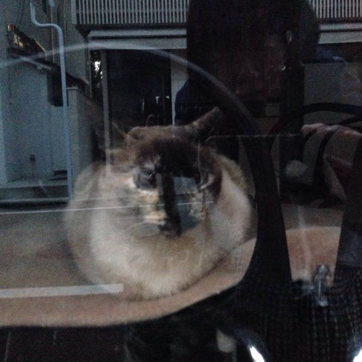 6013abd4 3387 4ede 8525 9a7131741dda