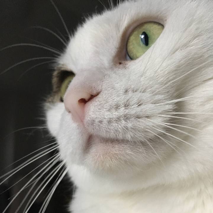 60143112 d320 47f4 b822 d9632041bd3d