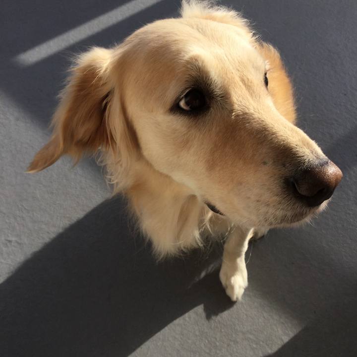 60148597 7768 4724 930e 6e75e33799ce