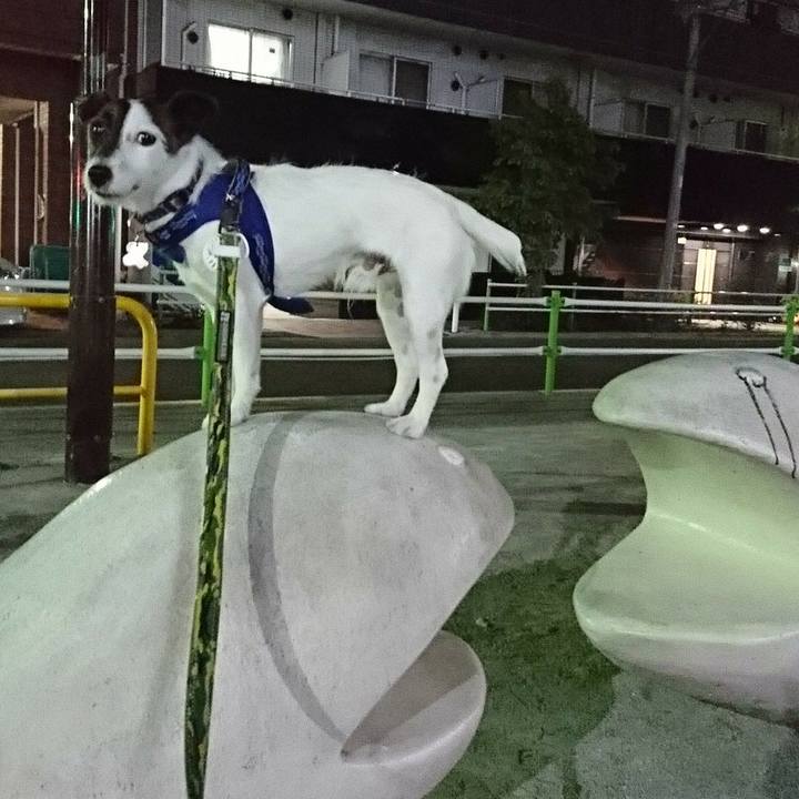 6014a833 e24b 4cec 9312 c5c447302b69