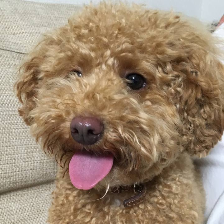 601510c6 cca7 406b 935f 993efe3f2f47