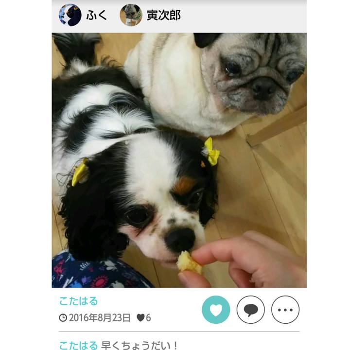 60158989 3c1f 41b5 8358 cfeb44a710d6