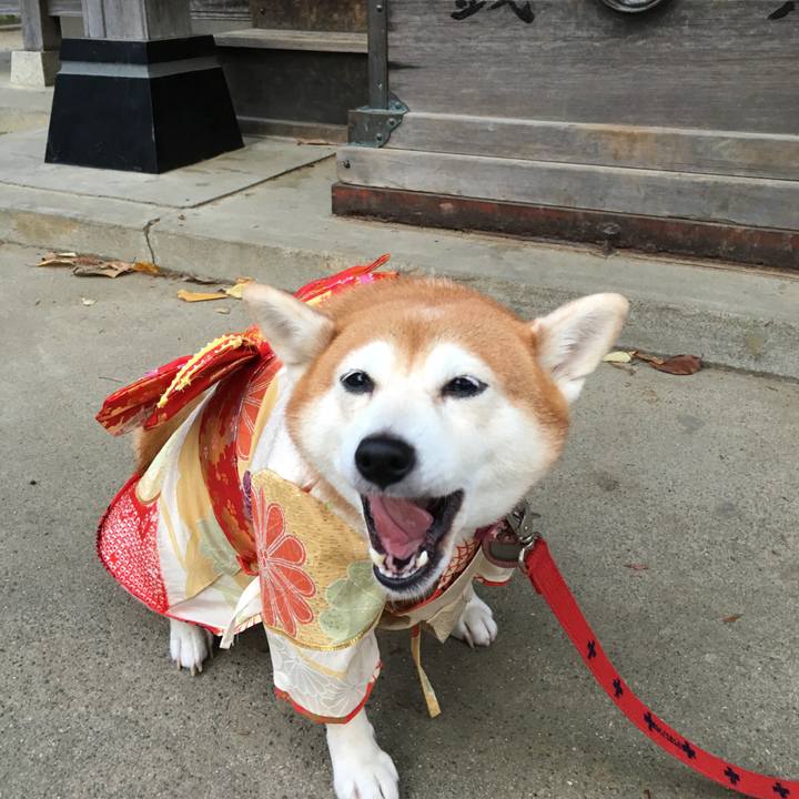 6015d517 23e8 4ecc 99e0 30d44c8caaf9