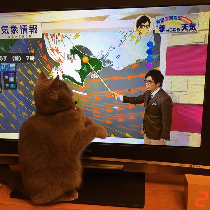 6015d8c9 1125 4240 a32e 07e3ec5aa6e6