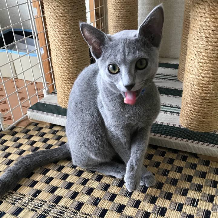 60165881 a308 4a81 8421 1cb65ac4edcb