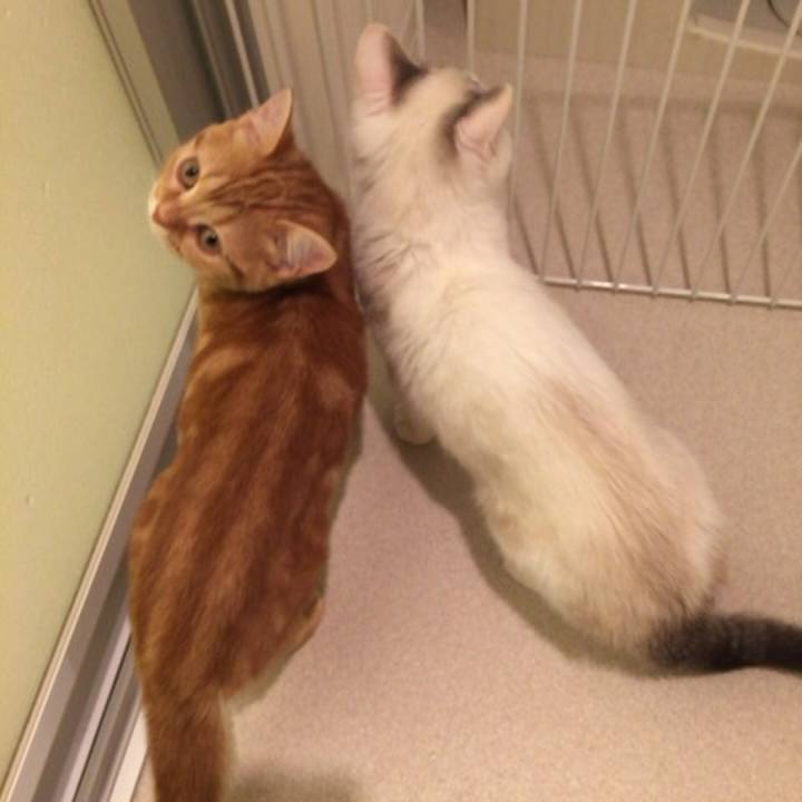 601696a1 4c04 4780 b9e7 7d5a45996e5a