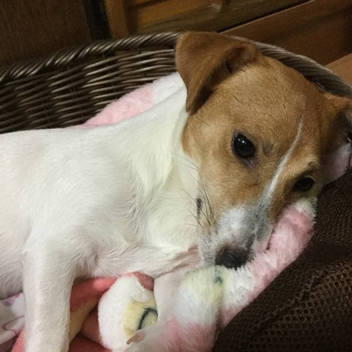 6016f875 d616 4dc3 8a73 1ac97c3c63ee