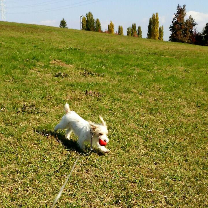 6017136f ac0d 4418 a4cd ef22e05f8bba