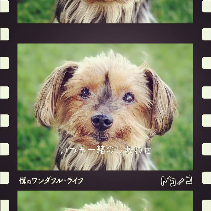 60174c7e 27c5 4f0b 9475 778267b30433