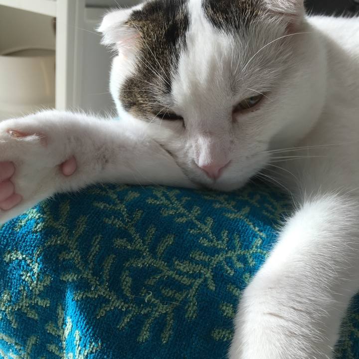 6017e91d 41a6 4fdd b0be 063a627ad872