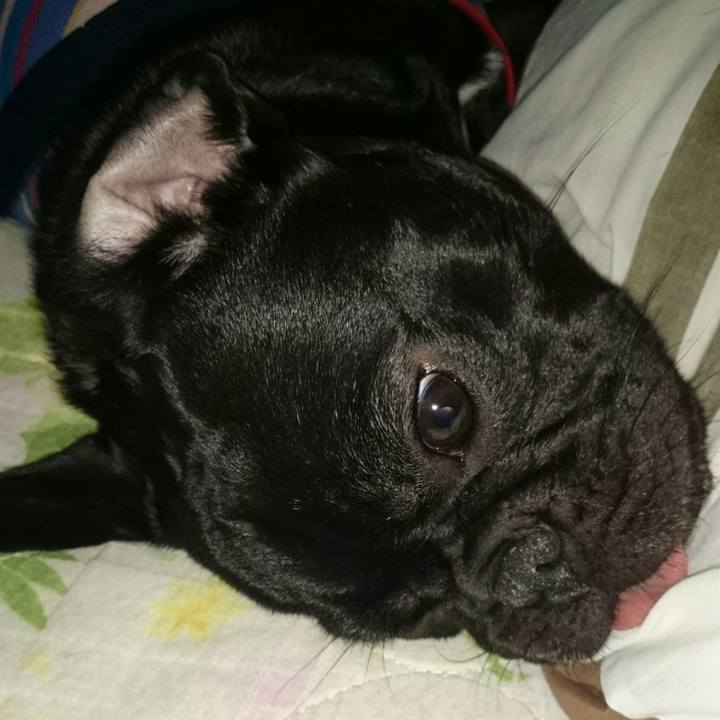 6017efab 6a6f 49a7 8924 21411df3856e