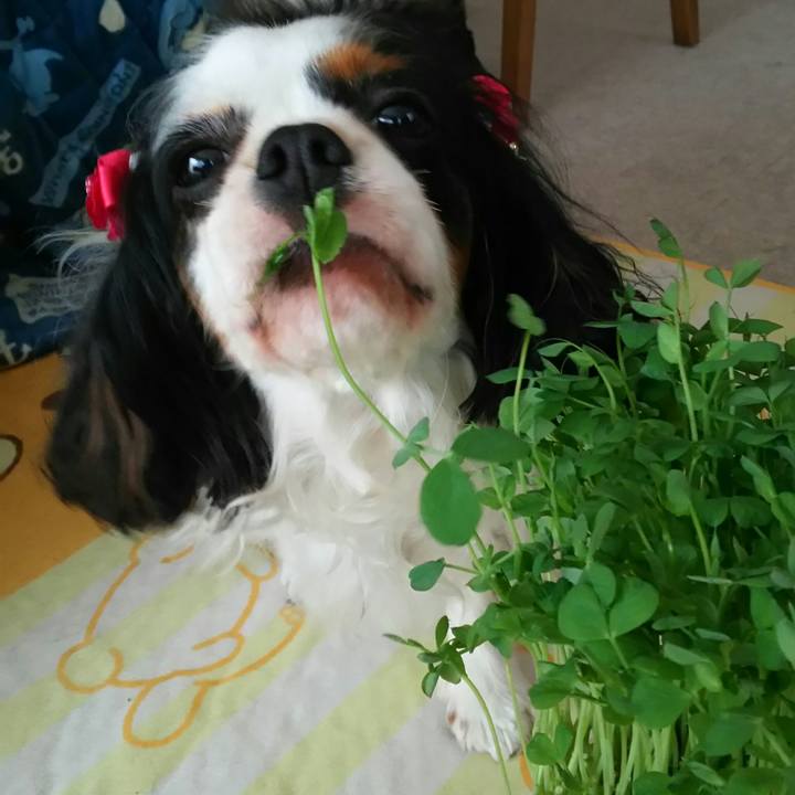 6018164e 2f73 4702 98fe 806071c11149