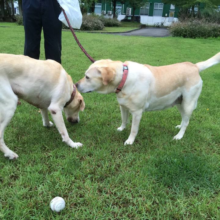 6018a3e7 4b4f 4653 9363 895ebf68f71b