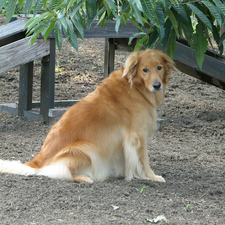 6019f022 d077 4311 a63a 895b57589874