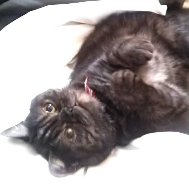 601a700b 6000 46d7 8156 aaecf143b5fe