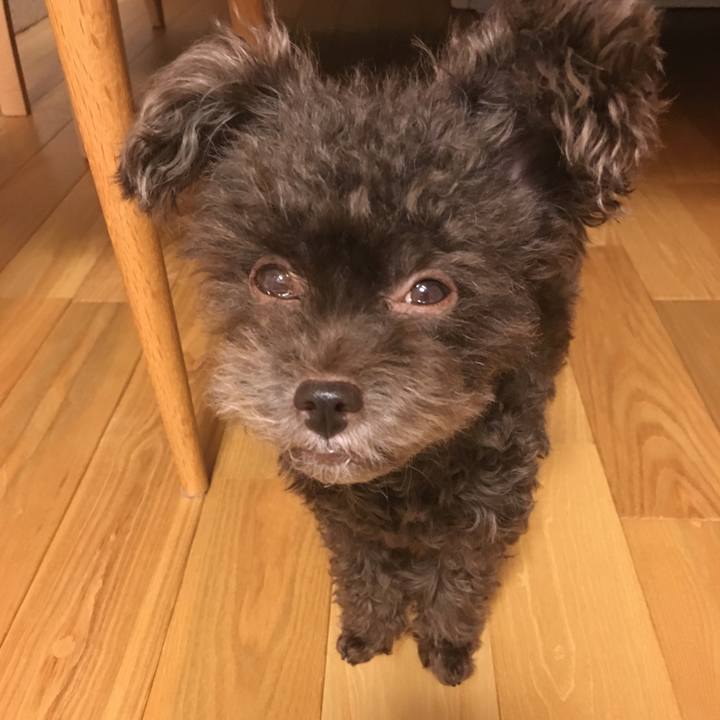 601a943b 5462 4820 a081 8ad915180d07