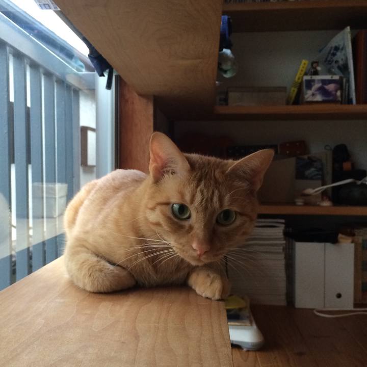 601aee29 d0cd 49f1 bf78 3cc1b7c0299c