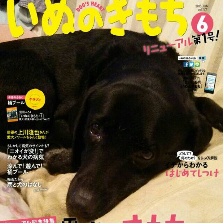 601b3931 2eb5 493c ba84 8b1bace6bee5