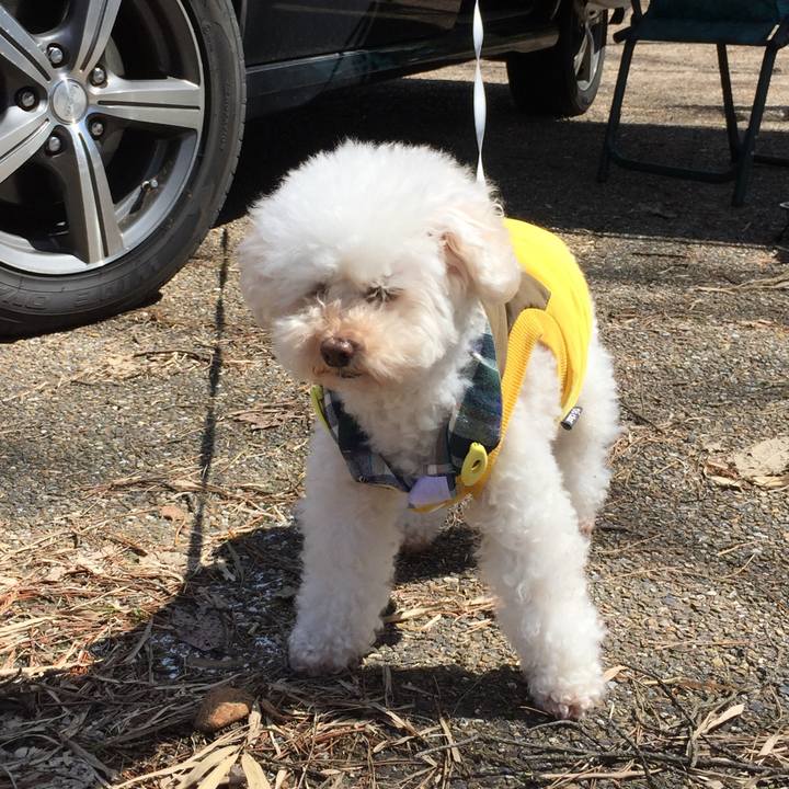 601b6857 8882 4c88 ba5e 6e22c27c50bc