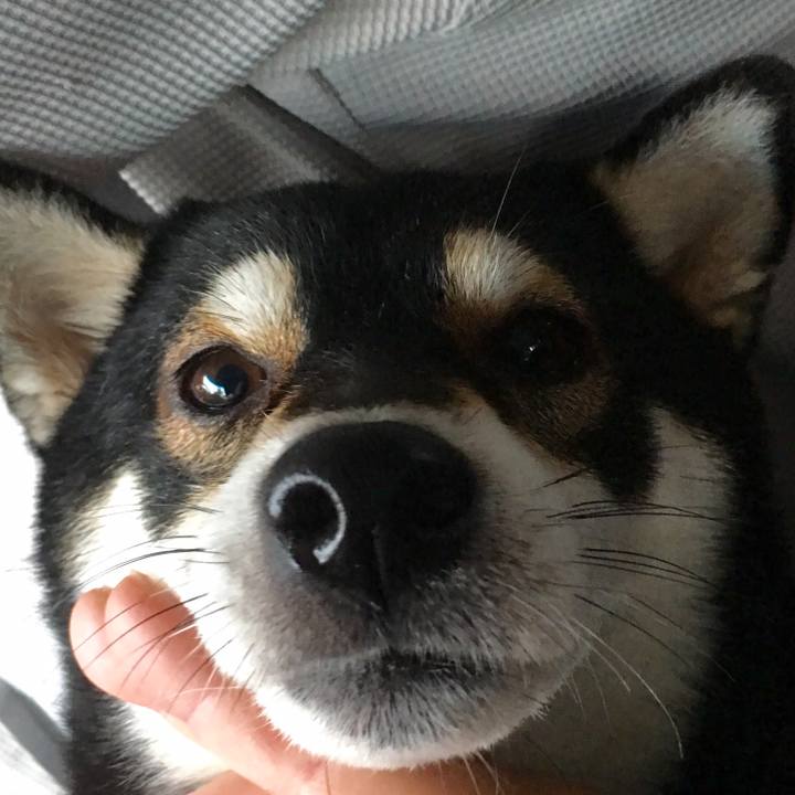 601bcb8c 8d0a 4c78 9bfb c0c77d61f559