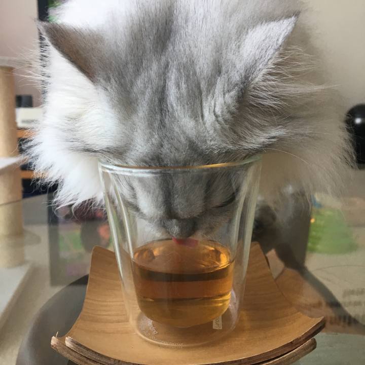 601c3109 a49e 45fe 9814 681e0eaf0c6c