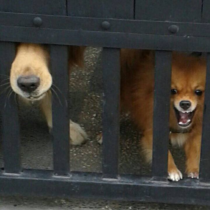 601c7308 8888 4abf bb6a 0d516fa27a21