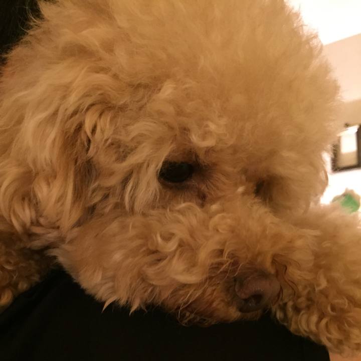 601c9dbe c4c8 4d1f b460 704e00a245bf