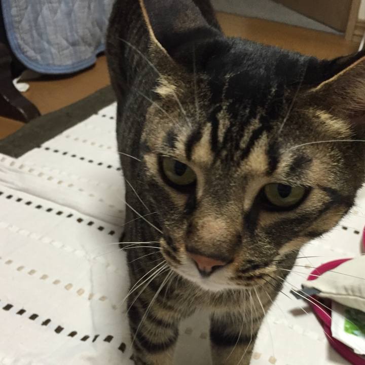 601d4a14 bdee 4b67 beec a48bd5003f7a