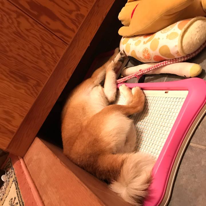 601dbc93 75fb 4ce0 a1f0 501dccd517e2