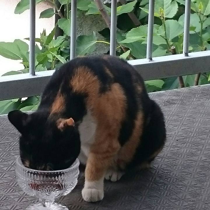 601dc9c2 0811 4c2e 8518 9f2b8b24809e