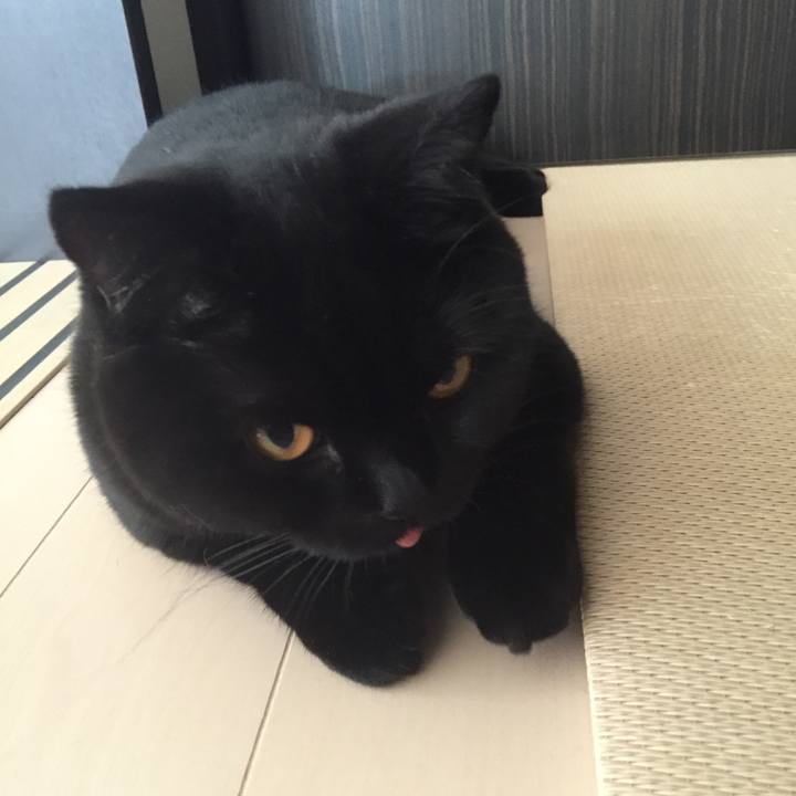 601e753a 414a 4229 afcf 6198752b1c60