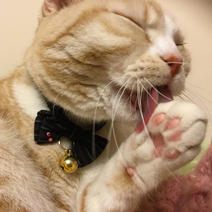 601e9dfa 3d58 4a3d 943d 01f517b9edd8