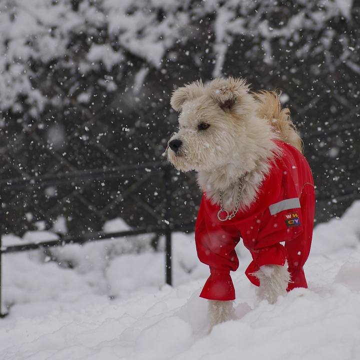 601f82f5 a701 408b b2ed bc3749ee06a2