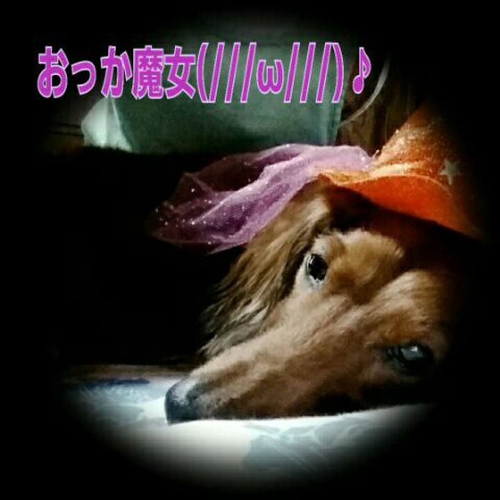 601f9a81 f97c 40ae bf75 27ad6a45e15b
