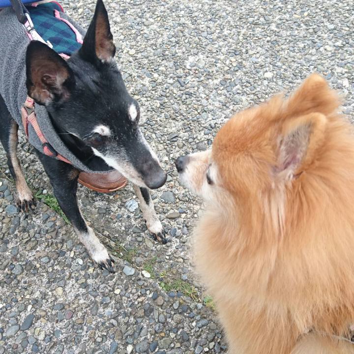 601fcfc4 cf13 4a9c 8d7c 7da3bb3cfd31