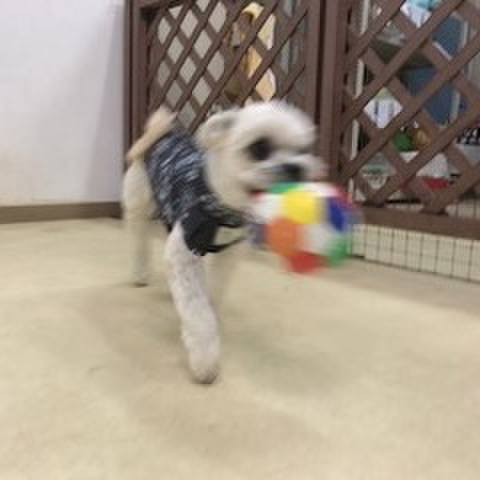 602022ce 2571 4efe b12f 72e94369215c