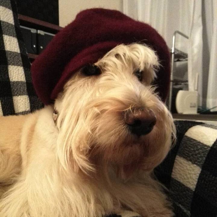 60211ad7 72bd 490f 97b5 2dd141f36a06