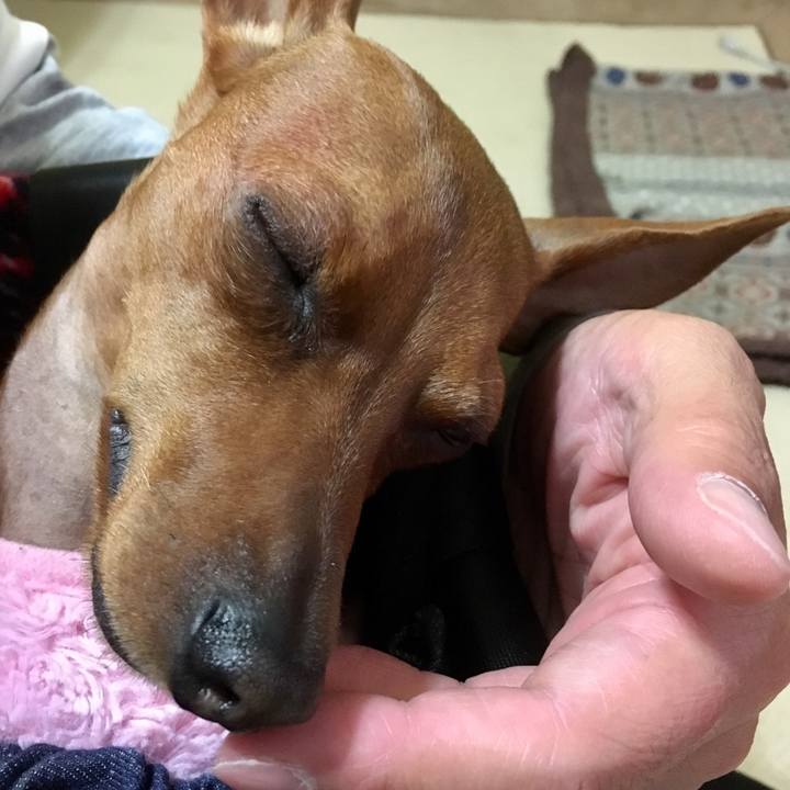 6021a65b 8126 4cc2 8df7 b529d72f5340