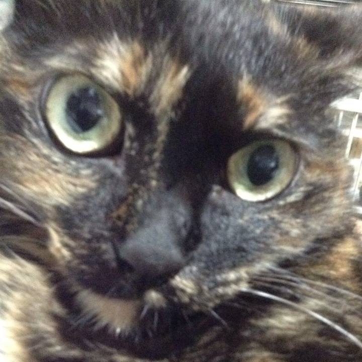 6021a8e1 bd30 4d3b bdc8 c0b4b4c3ede0