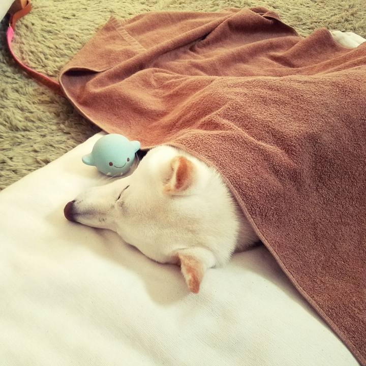 6021abc5 3472 4a1f a99b 076fc0c76025